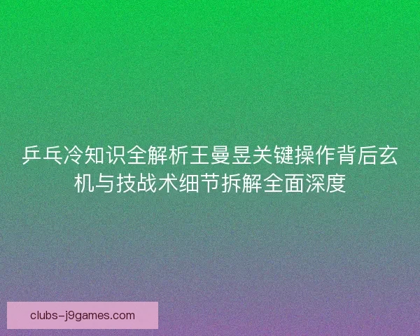 乒乓冷知识全解析王曼昱关键操作背后玄机与技战术细节拆解全面深度